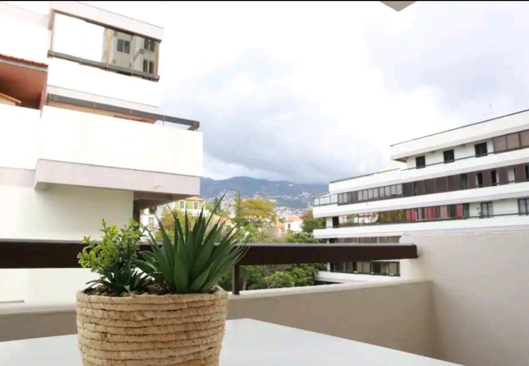Vista Infante Apartments فونشال المظهر الخارجي الصورة